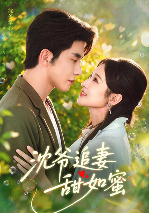 沈爷追妻甜如蜜零花钱看整部剧