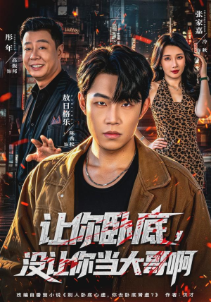 让你卧底,没让你当大哥啊(80 集) 让你卧底,没让你当大哥啊(80 集)追短剧太上头了