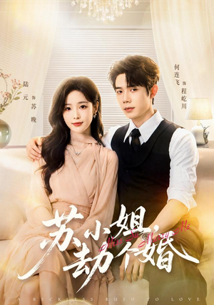苏小姐，劫个婚（80 集）演员表