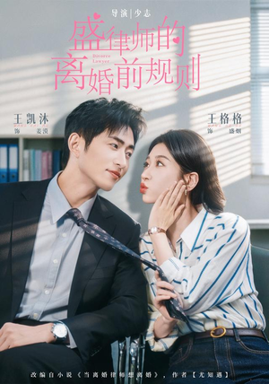 盛律师的离婚前规则(97 集) 盛律师的离婚前规则(97 集)1-102集