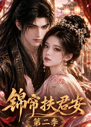 锦帘扶君安第二季(91集) 锦帘扶君安第二季(91集)全集