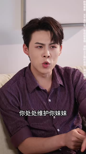 亲情的假面（29 集）第二季
