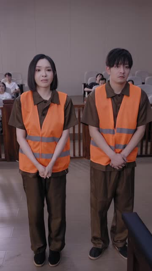 认识二十年又如何（61 集）免费短剧资源