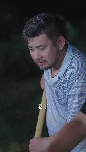 别惹我家猪（45 集）直接追到结尾