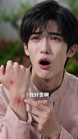 墨爷,您家七七找上门了(225集) 墨爷,您家七七找上门了(225集)在哪看