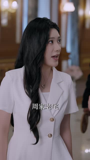 开天眼：从保安到鉴宝之王（80 集）零花钱看整部剧