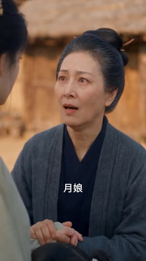 弃妇改嫁，屠夫相公竟是大将军（95集）今日最火短剧