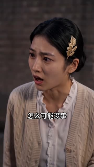 旧巷炊火与书声第五季(108集) 旧巷炊火与书声第五季(108集)恶毒女配