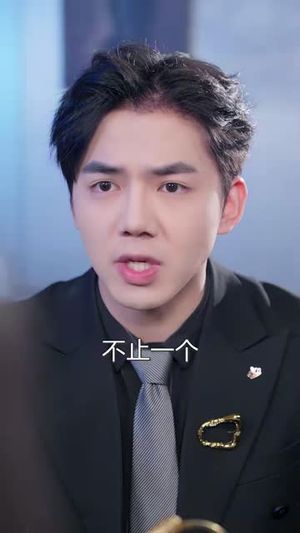 真爱难窥(31 集) 真爱难窥(31 集)连看3遍还想再看一遍