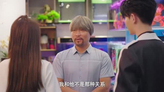 月落倾心时（71 集）千金短剧
