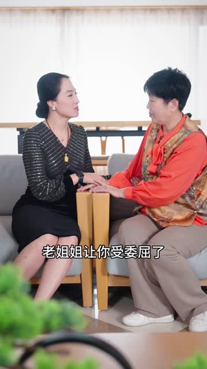 双重身份（21 集）未删减版