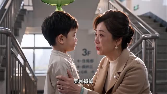 爱意戛然而止第四季（88集）离婚短剧