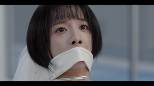 羽刃（20 集）婆媳短剧