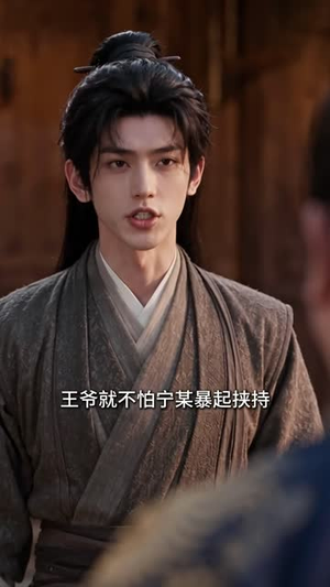 极品四公子第五季（155集）不卡顿